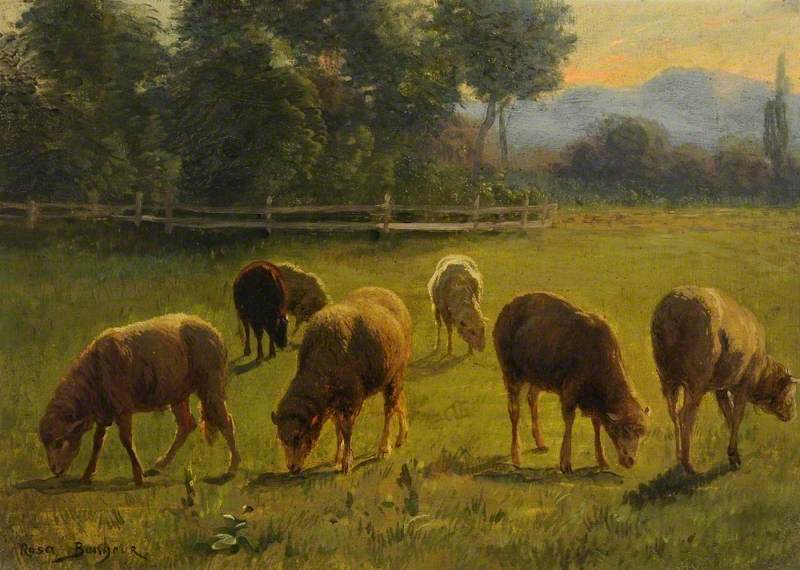62A Bonheur, Sheep in a Landscape